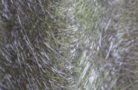 Gairlochy fibreglass roof work